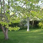 Lutzi´s Ferienwohnung